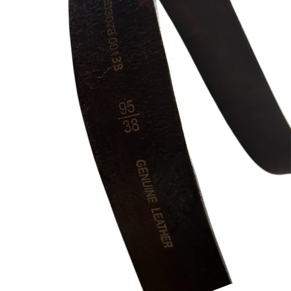 Fossil Belt - Picture 3 of 4